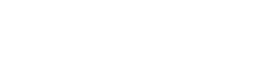 kiwiagency